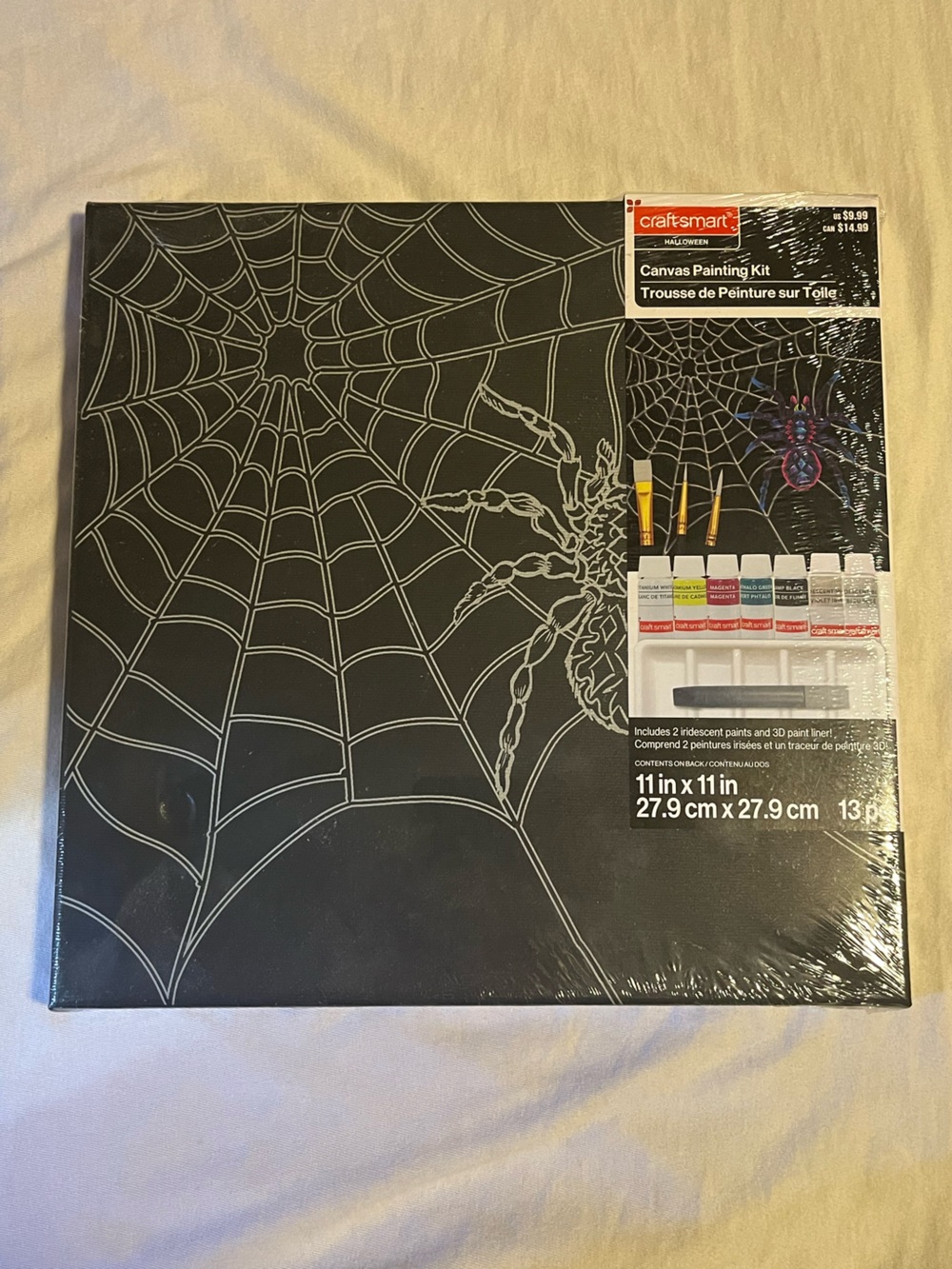 Black Spider Web Canvas Wall Art with Paint Kit